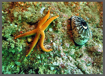 Interested in finding out if there are marine protected areas (MPAs) where you live or have visited?: Check out the Marine Protected Areas Inventory.